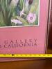 Two Large Floral Poster Prints - 4