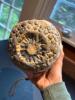 Pair of Handcrafted Stoneware Hanging Planters - 8
