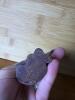 Small Rustic Cast Iron Donkey - 4