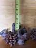 Small Cast Iron Animal and Pinecones - 7