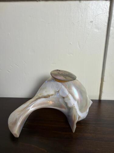 Shell Inkwell with Hinged Lid