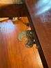 Extension Dining Table With Jefferson Wood Working Company Slide System - 9