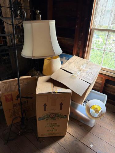 Large Mystery Lamp and Lighting Lot