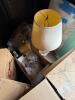 Large Mystery Lamp and Lighting Lot - 2