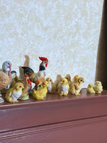 The Whole Barnyard!