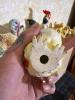 The Whole Barnyard! - 14