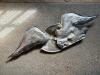 Painted Cast Metal American Eagle Wall Plaque - 5