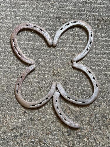 Iron Horseshoe Four-Leaf Clover