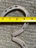 Iron Horseshoe Four-Leaf Clover - 3