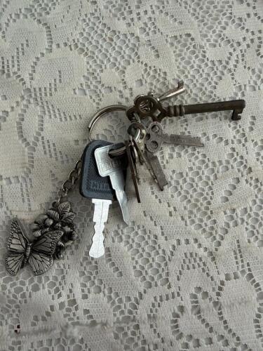 Mixed Vintage and Modern Keys with Decorative Butterfly Keychain