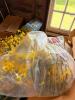 Large Mystery Lot Including Wondershop Potted Decorated Douglas Fir Lit Tree Set - 4