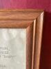 8" x16" Framed Pressed Flower Wall Art - 3