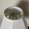 Pair of Glass Table Lamps With White Shades - 7