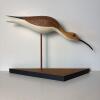 Eskimo Curlew Bird Decoy by Fred Dolan, 2000
