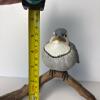 Hand-Carved Blue Jay Bird Sculpture - 7