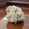 Natural White Coral Fossil Specimen