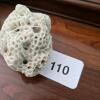 Natural White Coral Fossil Specimen - 5
