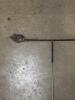 Metal Cat and Bird Garden Stake - 3