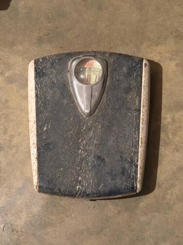Borg Bathroom Scale Vintage Black and White