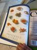 Cookbook Hard Cover Collection #1 - 8