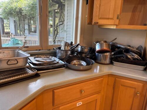 Large Pots and Pans Lot