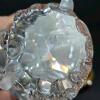 Swarovski Masquerade Columbine SCS Crystal Figurine with Box - 4