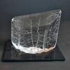 Glass Sculpture with Forest Scene