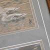 Framed Nature and Landscape Photographs and Prints - 3