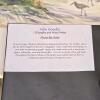 Framed Beach Watercolor With Seagulls by Donna Bednarz - 4