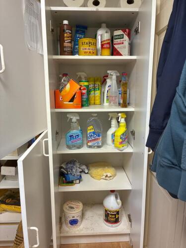 Assorted Cleaning Supplies Lot