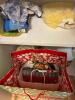 Assorted Cleaning Supplies Lot - 6