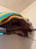 Assorted Blankets and Throws Including Crochet and Fleece - 4