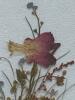 Pressed Flower Arrangement in Frame, Signed Misako - 3