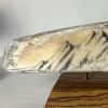 Wildlife Scrimshaw Sled Runner Artifact by George Vukson - 4