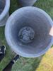 Large Outdoor Plastic Planters - 3