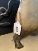 Folk Art-Style Metal Pig Sculpture - 4