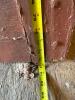 Antique Wooden Panel Door With Hardware - 9