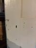 Painted Wood Panel Door in Traditional Style - 3