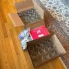 Assorted Glass Canning Jars and Lids Lot