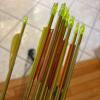 Browning Micro Midas Compound Bow with Easton Arrows and Quiver - 10
