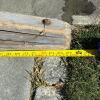 Long Wooden Straight Ladder - 7