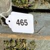Long Wooden Straight Ladder - 9