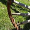 Large Wooden Hay Wagon with Iron-Rimmed Spoke Wheels - 7