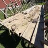 Large Wooden Hay Wagon with Iron-Rimmed Spoke Wheels - 18