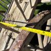 Large Wooden Hay Wagon with Iron-Rimmed Spoke Wheels - 29