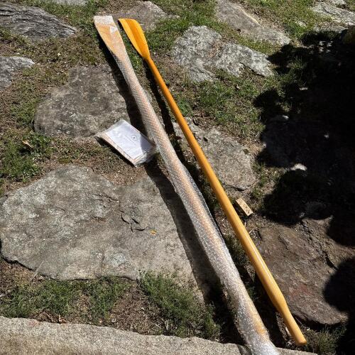 Wood Oars with Chesapeake Light Craft Leather Oar Collar Kit