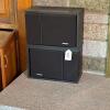Bose 201 Series III Direct/Reflecting Speakers - 11
