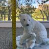 Polar Bears Porcelain Figurine, Polar Expedition Collection - 5
