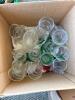Clear Glass Cups and Tumblers Assortment - 2