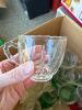 Clear Glass Cups and Tumblers Assortment - 7